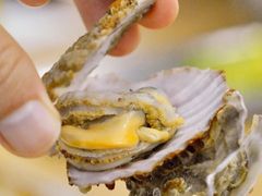 碳烤牡蛎-老虎滩大连海鲜烧烤(建邺云锦路总店)