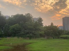 -重庆彩云湖湿地公园