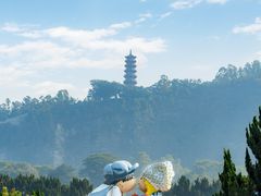 -南沙蒲洲花园