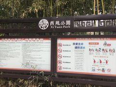 -西苑公园