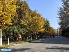 -辽东学院(南校区)