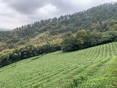 -敬亭山风景名胜区