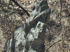 -商洛老君山旅游风景区