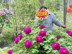 -仁和公园(顺义区)