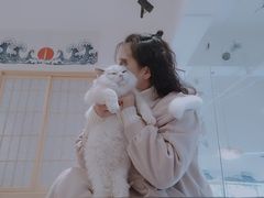 -南京Hallo宠物乐园·哈罗犬舍·柴犬繁育基地