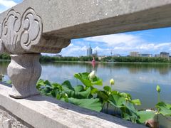-莲花池公园
