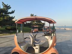 -日照灯塔风景区