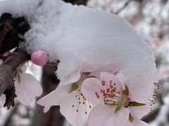 -方庄体育公园
