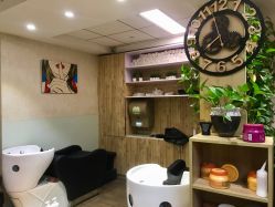 大厅-潘多拉Hairsalon