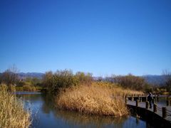-西昌邛海湿地