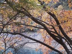 -叠溪松坪沟景区