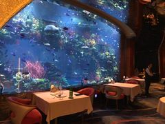 -迪拜帆船酒店海底餐厅