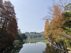 -深圳仙湖植物园