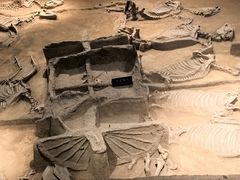 -洛阳周王城天子驾六博物馆