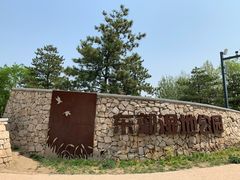 -东郊湿地公园