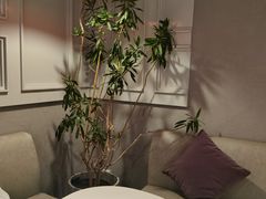 -潮一不贰·法式甜品·生日蛋糕·西式简餐(外滩店)