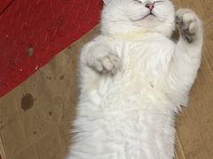 -万达广场(南京江宁店)