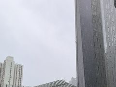 -鄂尔多斯国际大厦