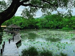 -兰亭风景区