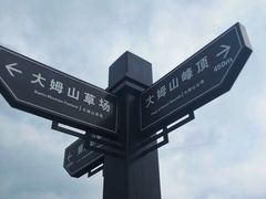 -大姆山草场