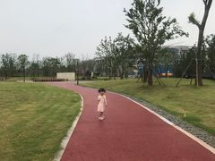 -九龙湖公园