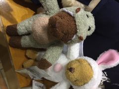 泰迪熊博物馆-济州岛泰迪熊博物馆