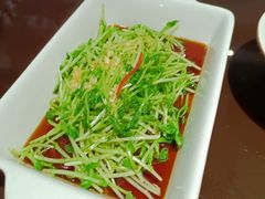白灼豆苗-火宫殿·湘菜小吃·商务宴请·生日聚会(东塘店)