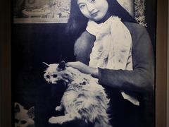 -艺仓美术馆