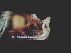 -博纳国际影城IMAX(中央大道店)