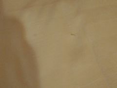 -如家酒店·neo(福州五一广场南门兜地铁站店)