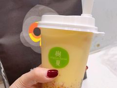 -树夏(建设路店)