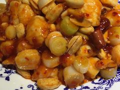 宫保鸡丁-鸭王烤鸭店(三里河店)