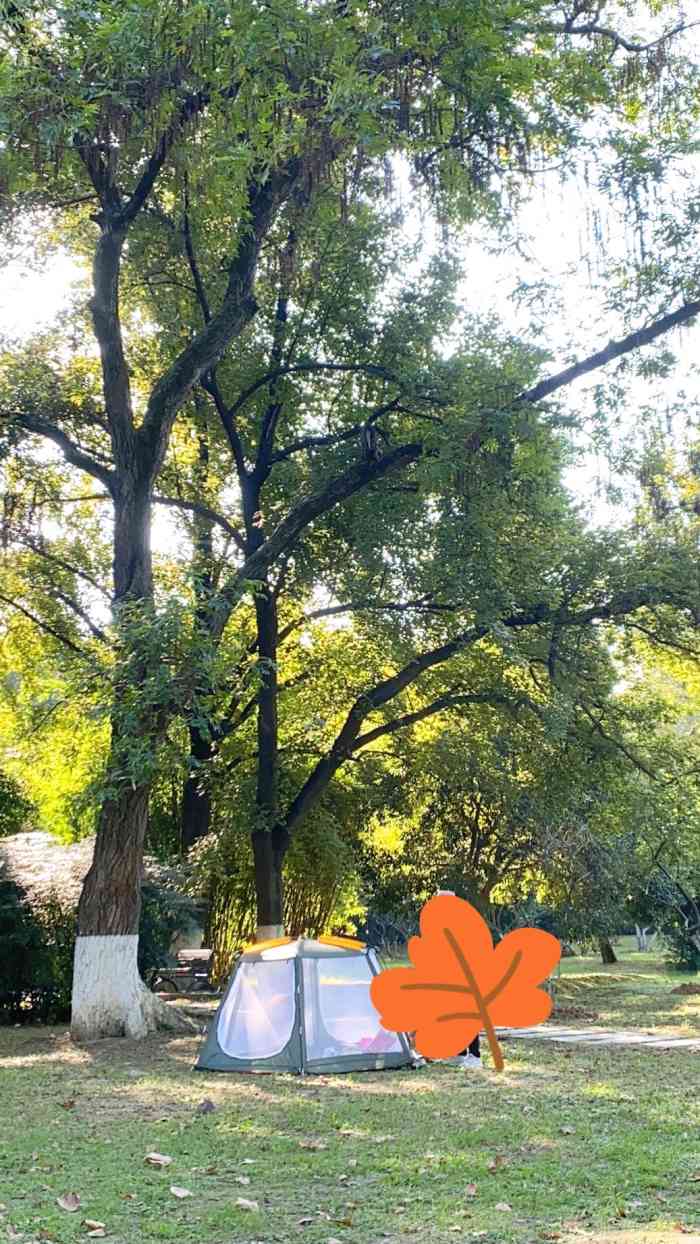 东湖听涛景区-"亲戚在东湖听涛景区的水云乡举行户外婚礼.