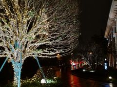 -上海浦东星河湾酒店