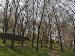 -杜氏旅游度假区