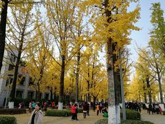 -百林公园-两江幸福广场
