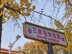 -三里屯东五街银杏大道