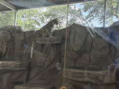 -青藏高原野生动物园