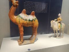 -镇江博物馆