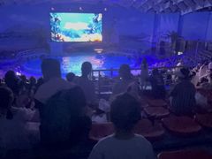 -海合安武汉极地海洋公园