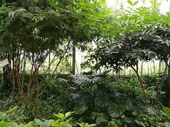 -汤山翠谷生态餐厅