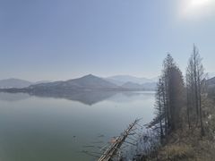 -四明湖