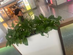 -麦当劳(上海虹桥站30B检票口楼上)