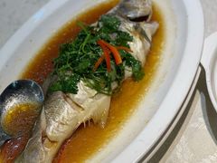 清蒸午笋鱼-森记鱼粥