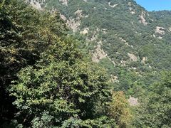 -秦岭终南山世界地质公园翠华山景区