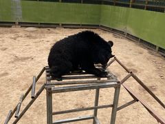 -中华郡文化旅游景区