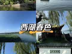 -楼外楼(西湖景区孤山路店)