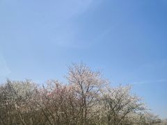 -凤凰沟景区