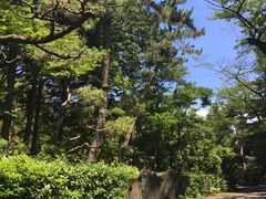 -名古屋城