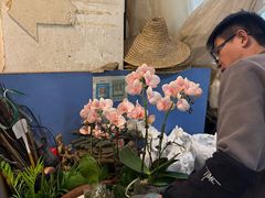 -双季花艺园艺市场(浦东店)